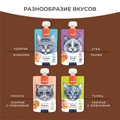 Wanpy Cat Лакомство для кошек Мясной мусс из лосося и курицы с морковью RAC-40