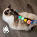 Игрушка Catstages для кошек "Гусеничка" дразнилка со сменной насадкой, с кошачьей мятой CAT711449
