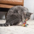 Игрушка Catstages Dental для кошек "Мяч с хвостиками" c кошачьей мятой 3,5 см CAT003106