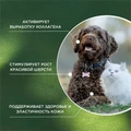 ProPhyto для Кожи и Шерсти функциональная кормовая добавка для собак и кошек PP91100421