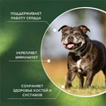 ProPhyto Сеньор Саппорт функциональная кормовая добавка для собак PP91100182