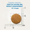 Сухой корм Craftia Galena для собак при избыточном весе Craftia Galena Dog  Weight Management (Obesity) GAL5428525