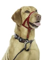Недоуздок для собак COA "HALTI Headcollar", Size 3, 40-54 см 13403/COA