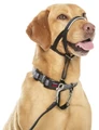 Недоуздок для собак COA "HALTI Headcollar", Size 3, 40-54 см 13403/COA
