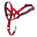 Недоуздок для собак COA "HALTI Headcollar", Size 2, 35-48 см 12406/COA