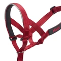 Недоуздок для собак COA "HALTI Headcollar", Size 2, 35-48 см 12406/COA