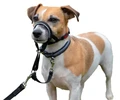 Недоуздок для собак COA "HALTI Headcollar", Size 0, 29-36 см 10204/COA