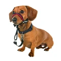 Недоуздок для собак COA "HALTI Optifit Headcollar", 24-40 см, размер S 24201/COA