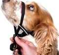 Недоуздок для собак COA "HALTI Optifit Headcollar", 42-54 см, размер M 25208/COA