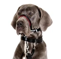 Недоуздок для собак COA "HALTI Optifit Headcollar", 48-64 см, размер L 26205/COA