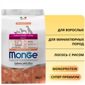 Сухой корм MONGE Monoprotein для взрослых собак миниатюрных пород с лососем и рисом Extra Small Adult Dog Salmon 70011457
