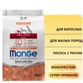 Сухой корм MONGE Monoprotein для взрослых собак мелких пород с лососем и рисом Mini Adult Dog Salmon 70011563