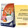 Беззерновой cухой корм FARMINA ND PUMPKIN для щенков средних и крупных пород ягненок с черникой и тыквой 7529/PND025851S