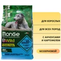 Беззерновой сухой корм MONGE Grain Free Adult Dog Anchovy/Potatoes для взрослых всех пород с анчоусами и картофелем 70004701