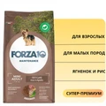 Сухой корм Forza10 Maintenance для взрослых собак мелких пород из ягненка с рисом Small/Medium 116002