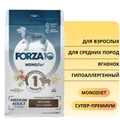 Сухой корм Forza10 MonoDiet для взрослых собак средних пород с ягненком Adult Medium Angello 116115