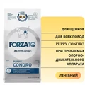 Сухой корм Forza10 Active Puppy Condro для щенков всех пород с проблемами опорно-двигательного аппарата 914010