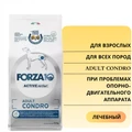 Сухой корм Forza10 Active Adult Condro для взрослых собак всех пород при проблемах опорно-двигательного аппарата 109156