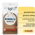 Сухой корм Forza10 Active Gastroenteric Low Fat для взрослых собак всех пород при острых проблемах желудочно-кишечного тракта 930004