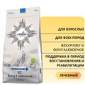 Сухой корм Craftia Galena для собак поддержка в период восстановления и реабилитации Craftia Galena Dog Recovery&Сonvalescence Care GAL5428426