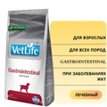 Сухой корм FARMINA VET LIFE GASTRO-INTESTINAL для собак диета при заболеваниях ЖКТ 4372/PVT020006S