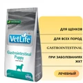Сухой корм FARMINA VET LIFE GASTRO-INTESTINAL PUPPY для щенков всех пород диета при заболеваниях ЖКТ 11776/PVN0200030