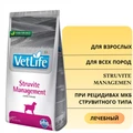 Сухой корм FARMINA VET LIFE Struvite Management для собак диета при рецидивах МКБ струвитного типа 4383/PVT020173S