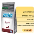 Сухой корм FARMINA VET LIFE Hepatic для собак диета при заболеваниях печени 5483/PVT020535S