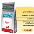 Сухой корм FARMINA VET LIFE CARDIAC для собак диета при сердечно-сосудистых заболеваниях 5981/PVT020533S
