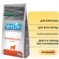 Сухой корм FARMINA VET LIFE CONVALESCENCE для собак диета в период восстановления 4374/PVT020005S