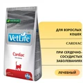 Сухой корм FARMINA VET LIFE CARDIAC для кошек диета при сердечно-сосудистых заболеваниях 5980/PVT004175S