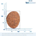 Сухой корм Monge VetSolution для собак при заболеваниях ЖКТ Dog Gastrointestinal 70081047