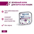 Консервы Monge VetSolution для кошек при заболеваниях ЖКТ Cat Gastrointestinal 70014618