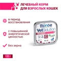 Консервы Monge VetSolution для кошек при восстановлении питания в период выздоровления Cat Recovery 70014656