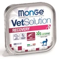 Консервы Monge VetSolution для кошек при восстановлении питания в период выздоровления Cat Recovery 70014656