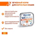 Консервы Monge VetSolution для кошек при ХПН и профилактике образования оксалатов Cat Renal and Oxalate 70014649
