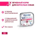 Консервы Monge VetSolution для собак при восстановлении питания в период выздоровления Dog Recovery 70014533
