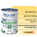 Консервы Monge VetSolution для собак при сахарном диабете и лишнем весе Dog Diabetic and Obesity 70082013