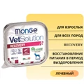 Консервы Monge VetSolution для собак при восстановлении питания в период выздоровления Dog Recovery 70014533