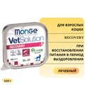 Консервы Monge VetSolution для кошек при восстановлении питания в период выздоровления Cat Recovery 70014656