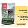 Пауч Blitz Holistic для взрослых кошек кусочки в соусе с перепелкой и индейкой Quail & Turkey in Gravy Adult Cat All Breeds BCW17-1-00085
