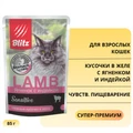 Пауч Blitz Sensitive для взрослых кошек с чувствительным пищеварением, кусочки в желе с ягненком и индейкой Lamb & Turkey in Jelly Adult Cat BCW01-1-00085