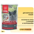 Пауч Blitz Classic для взрослых кошек кусочки в соусе с курицей и потрошками Cat Adult BCW04-1-00085