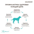 Акция! 12 кг по цене 10 кг! Сухой корм GRANDORF для взрослых собак крупных пород с ягненком и индейкой MAXI Lamb and Turkey 850983.4х3