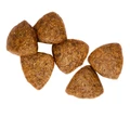 Беззерновой сухой корм Wanpy Dog для взрослых собак всех пород с курицей ADULT DOG CHICKEN DFC-02094