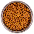 Сухой корм MONGE для взрослых кошек для профилактики МКБ с курицей Cat Urinary 70011907 - фото 21589